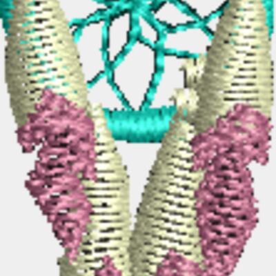 Ws334 Thumbnail