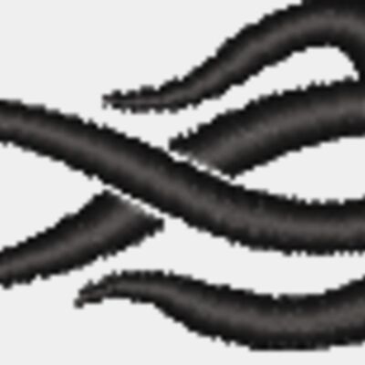 NZ786 Thumbnail