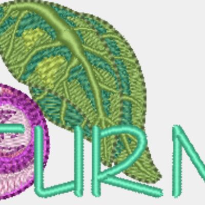Fm293 Thumbnail