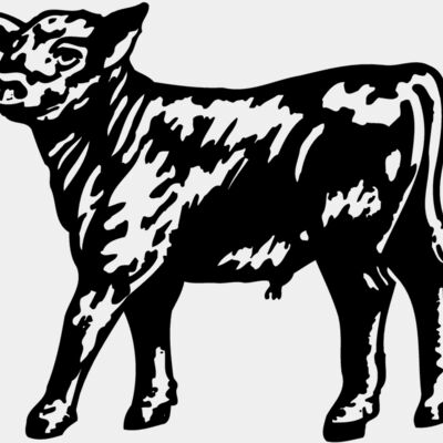 COW025 Thumbnail