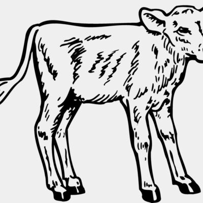 COW028 Thumbnail