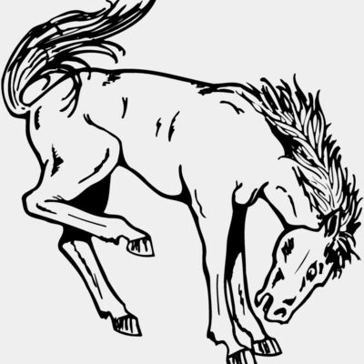 HORSE038 Thumbnail