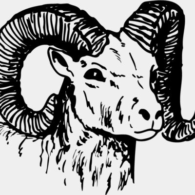 RAM010 Thumbnail
