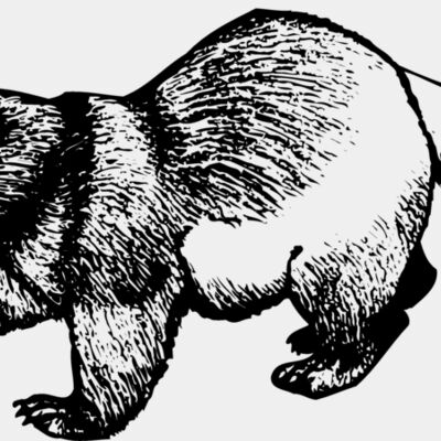 BADGER02 Thumbnail