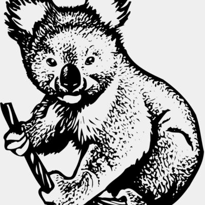 BEAR007 Thumbnail