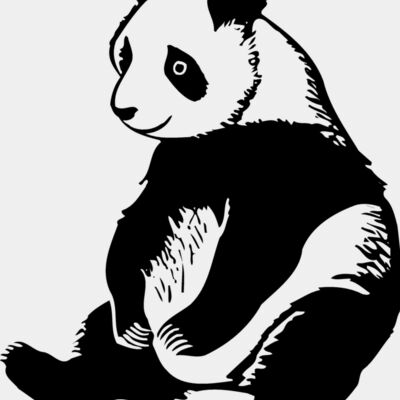 BEAR008 Thumbnail