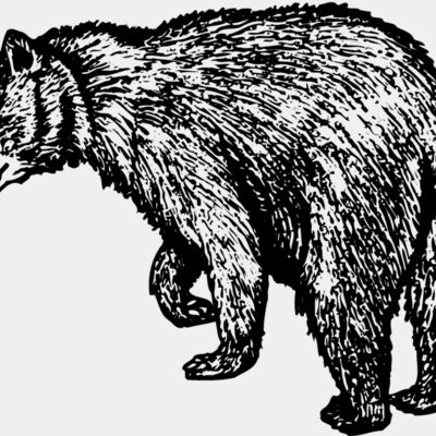BEAR011 Thumbnail