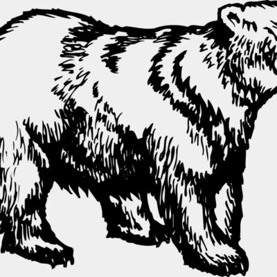 BEAR018 Thumbnail