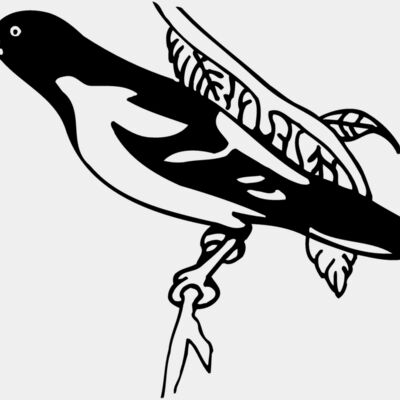 BIRD038 Thumbnail
