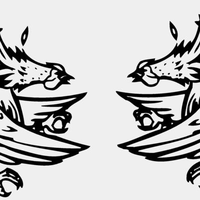 BIRD054 Thumbnail
