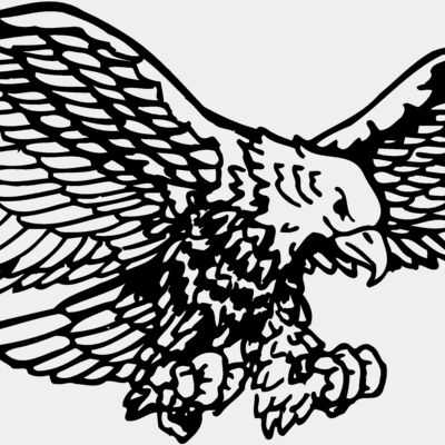 EAGLE003 Thumbnail