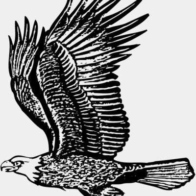 EAGLE012 Thumbnail
