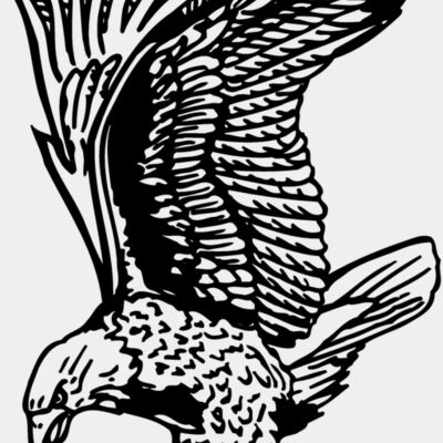 EAGLE020 Thumbnail