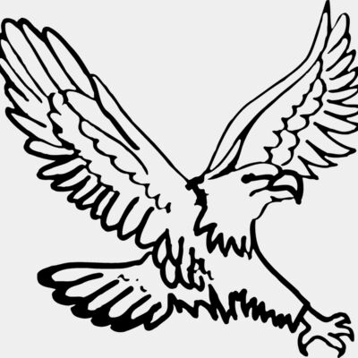 EAGLE40 Thumbnail