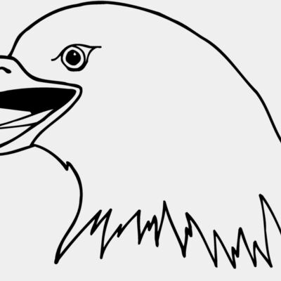 EAGLE41 Thumbnail
