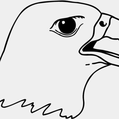 EAGLE45 Thumbnail