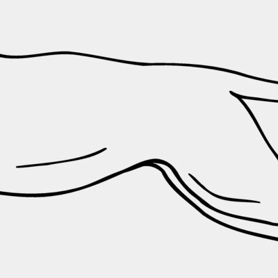 CAT12 Thumbnail