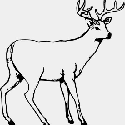 DEER002 Thumbnail
