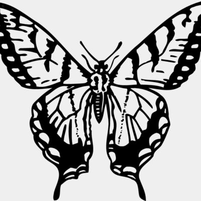 BTRFLY06 Thumbnail