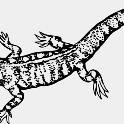 LIZARD02 Thumbnail