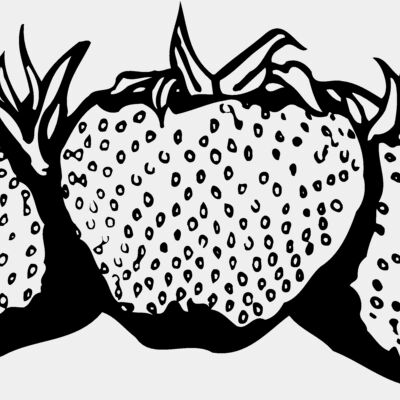 FRUIT034 Thumbnail