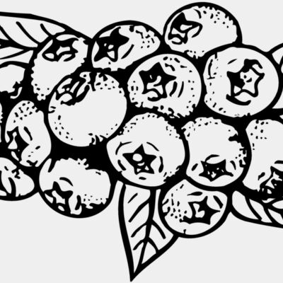 FRUIT037 Thumbnail