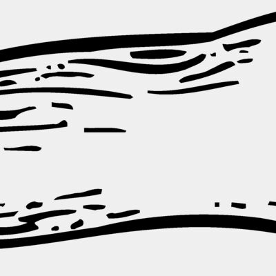 VEG012 Thumbnail