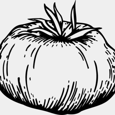 VEG015 Thumbnail