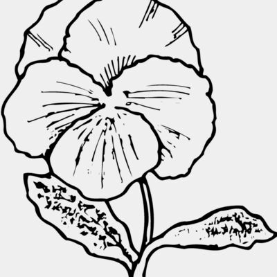 FLOWER07 Thumbnail