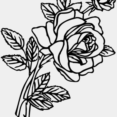 FLOWER27 Thumbnail