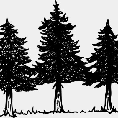 TREE0002 Thumbnail