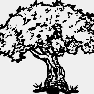 TREE0028 Thumbnail