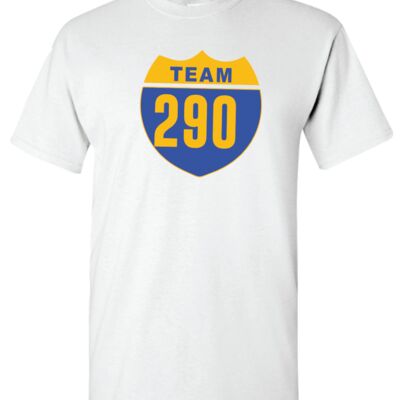 Gildan TEAM 290 Cotton T-Shirt 5000 TEAM 290 Cotton T-Shirt Thumbnail