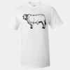 Ultra Cotton T-Shirt Thumbnail