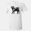 Ultra Cotton T-Shirt Thumbnail