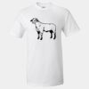 Ultra Cotton T-Shirt Thumbnail