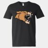 Softstyle V-Neck T-Shirt Thumbnail