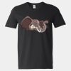 Softstyle V-Neck T-Shirt Thumbnail