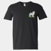 Softstyle V-Neck T-Shirt Thumbnail