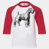 Youth Three Quarter Sleeve Baseball T-Shirt Thumbnail
