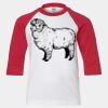 Youth Three Quarter Sleeve Baseball T-Shirt Thumbnail
