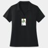Women's Dri Mesh ® V Neck Polo Thumbnail