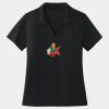 Women's Dri Mesh ® V Neck Polo Thumbnail